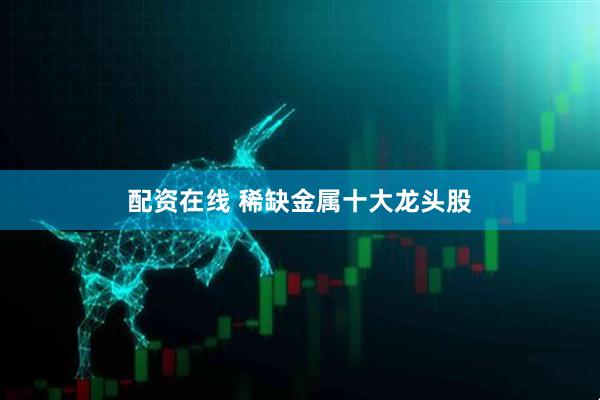 配资在线 稀缺金属十大龙头股