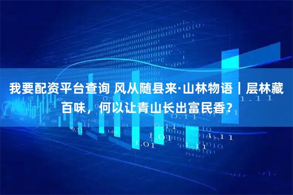我要配资平台查询 风从随县来·山林物语｜层林藏百味，何以让青山长出富民香？